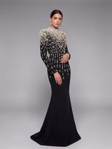 Crystal Cascade Embellished Mermaid Evening Gown - Black