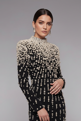 Crystal Cascade Embellished Mermaid Evening Gown - Black